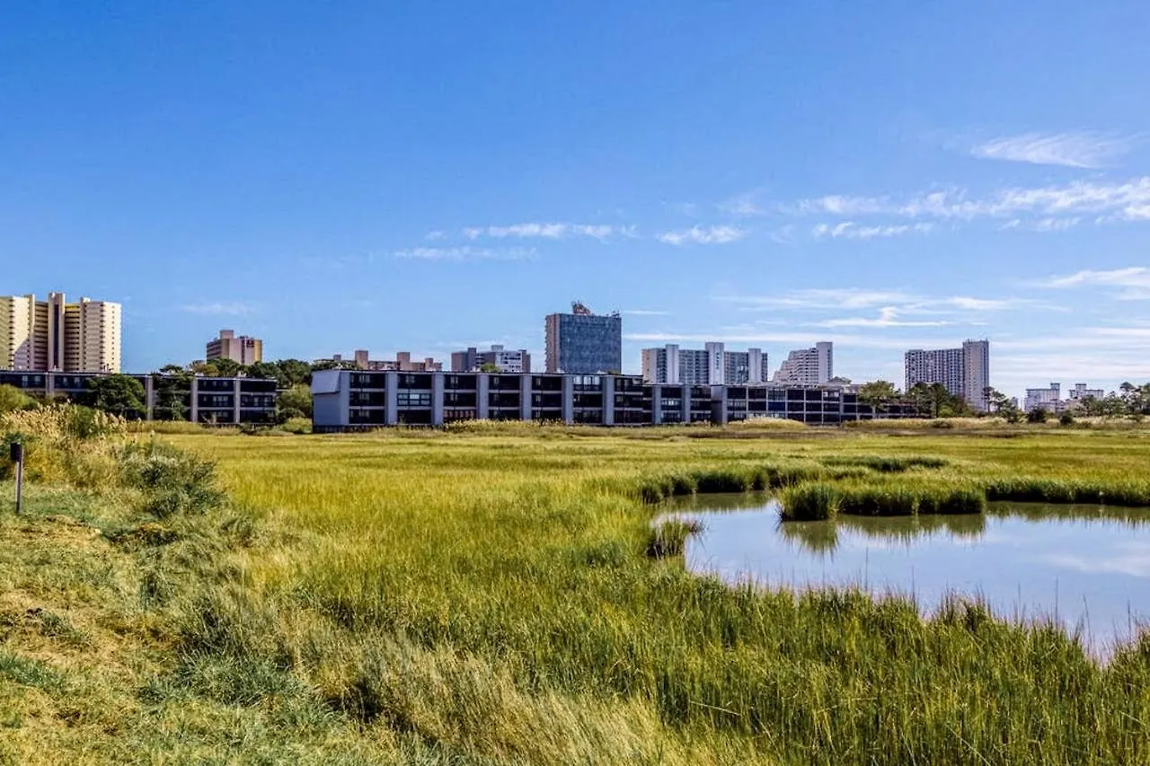 Апартаменты Our Place At The Beach 307H Ошен Сити США